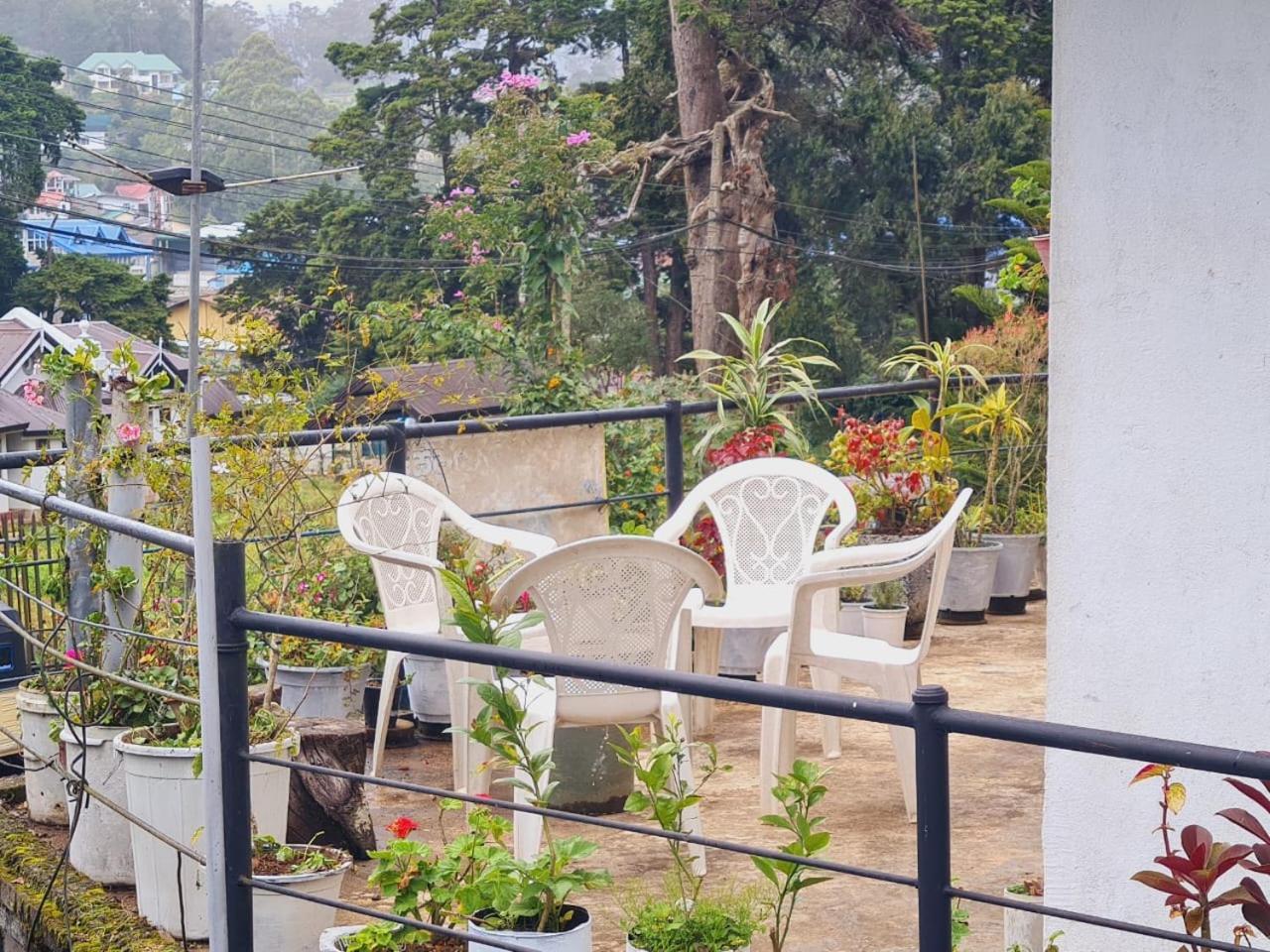 Sasru Holiday Home نوفارا إيلِيا المظهر الخارجي الصورة